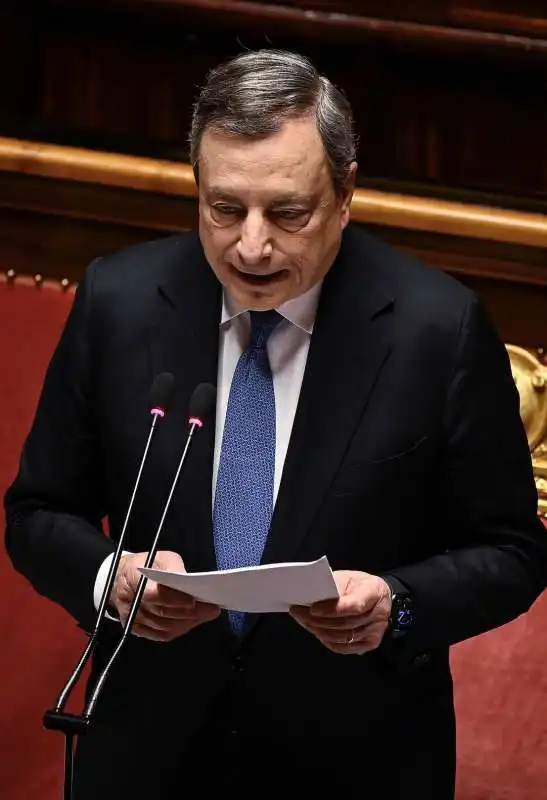 mario draghi al senato 