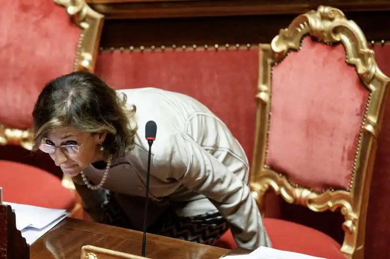 marta cartabia al senato 