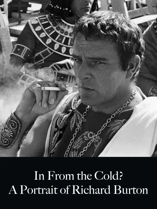 richard burton   in from the cold 