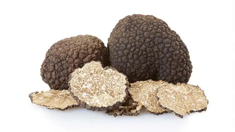 tartufo nero estivo 6