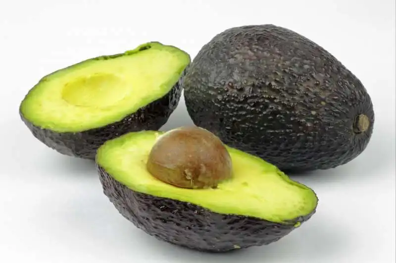 avocado 2