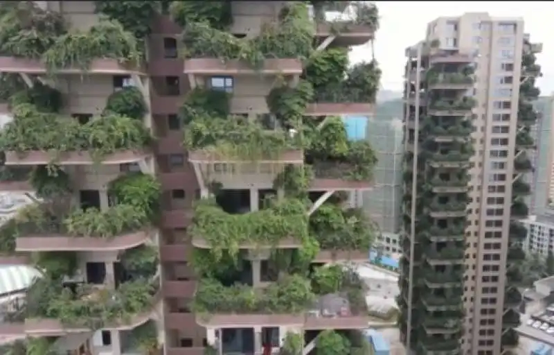 bosco verticale cinese 1