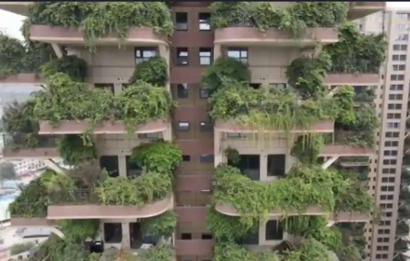 bosco verticale cinese 2