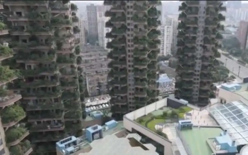 bosco verticale cinese 7