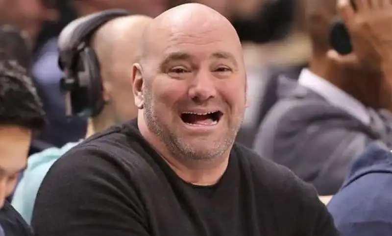 dana white 