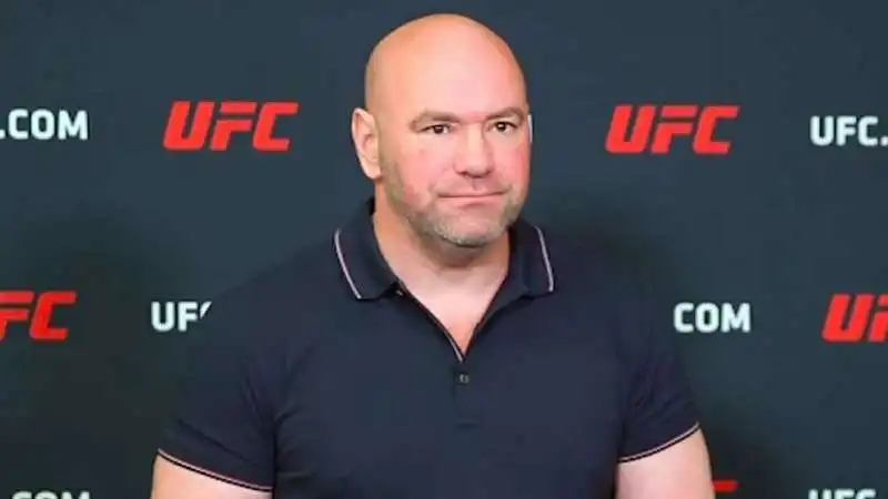 dana white 