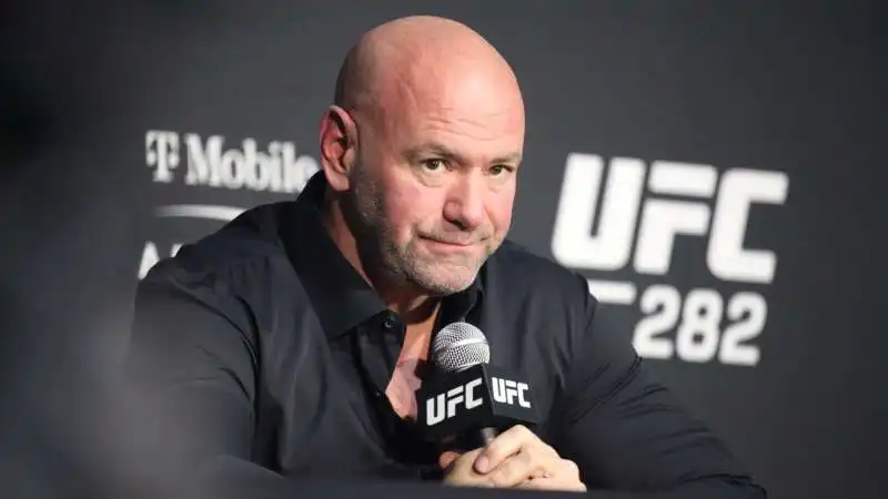 dana white