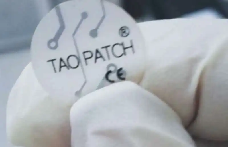 il taopatch di tao technologies.  