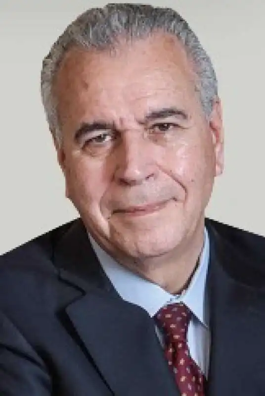 PIERO LUIGI MONTANI