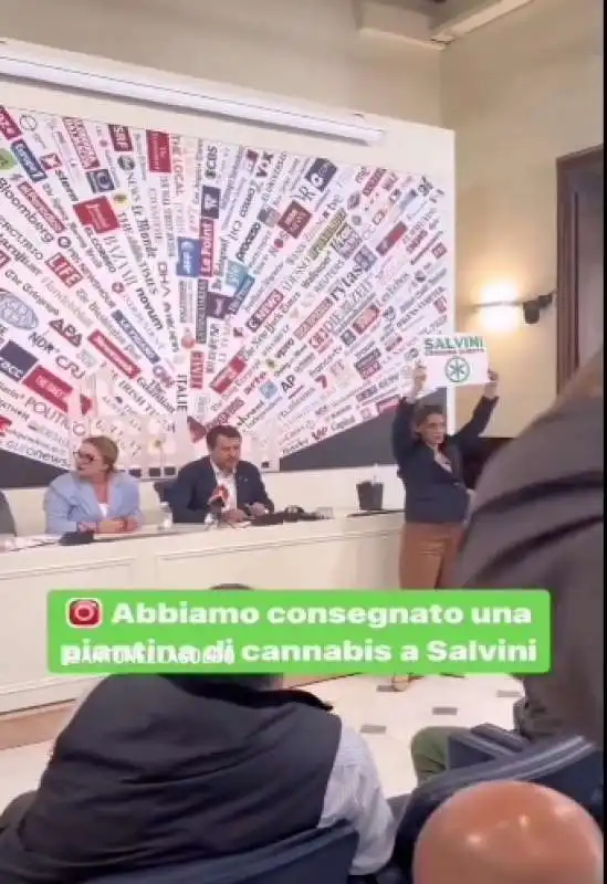 ANTONELLA SOLDO CONSEGNA UNA PIANTINA DI CANNABIS A MATTEO SALVINI