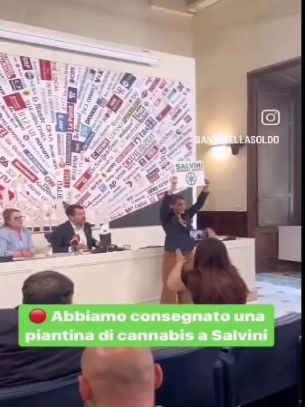 ANTONELLA SOLDO CONSEGNA UNA PIANTINA DI CANNABIS A MATTEO SALVINI