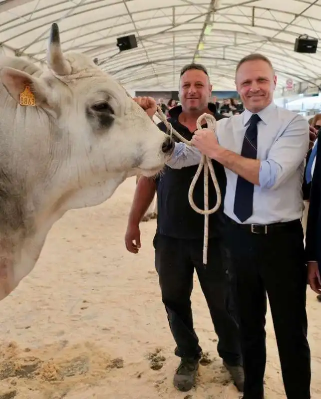 francesco lollobrigida con un toro