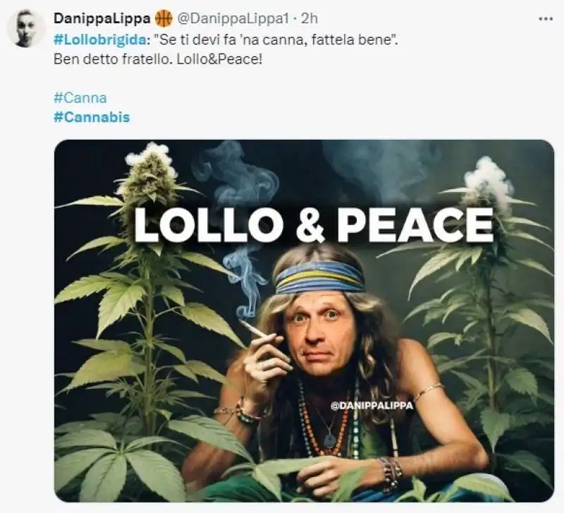 francesco lollobrigida   meme sulla cannabis light 8