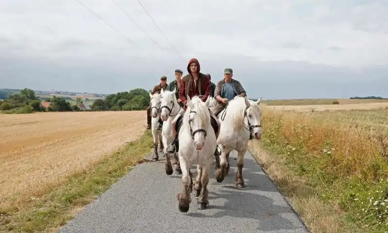 l'impero di bruno dumont. 8