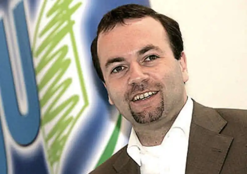 manfred weber  