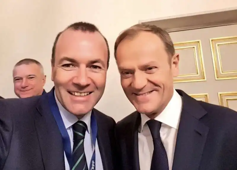 MANFRED WEBER DONALD TUSK