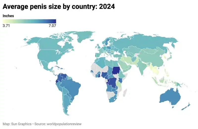 media lunghezza pene nel 2024 