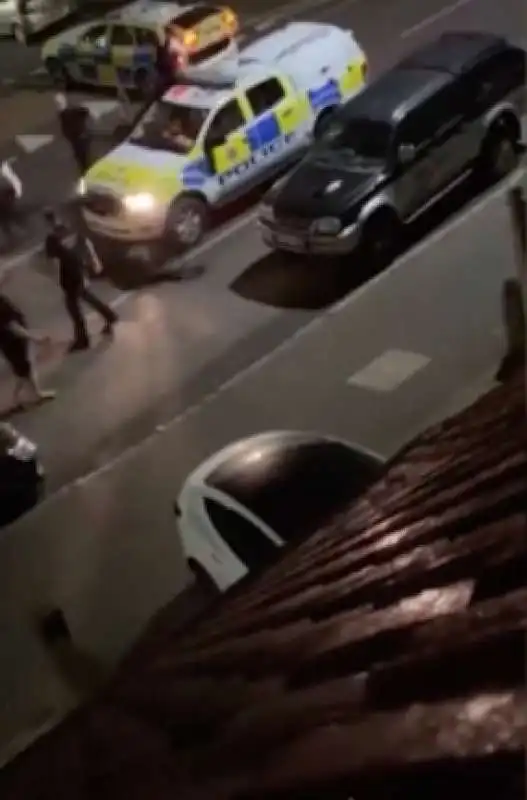 polizia investe una mucca a feltham, londra   3