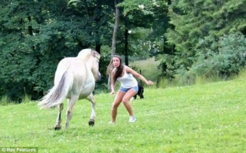 ANIMALI SI RIBELLANO ALLE FOTO 