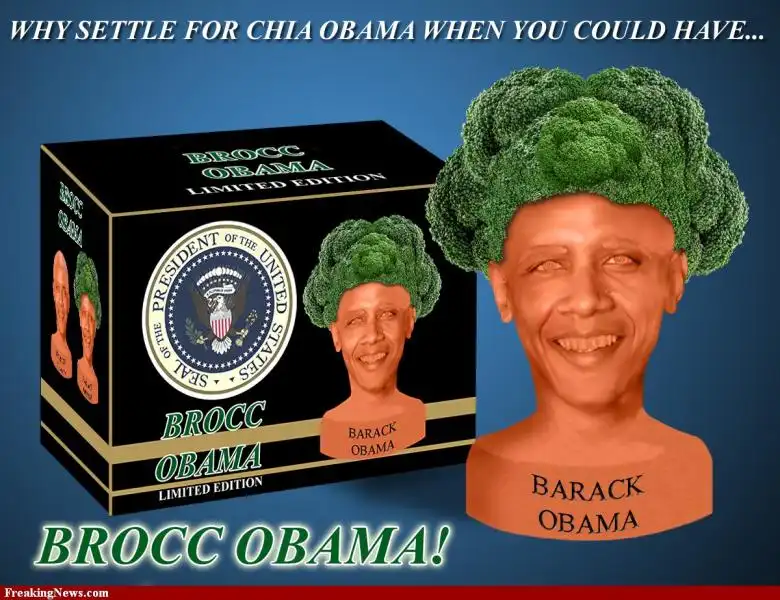 Barack Obama Broccoli Head 