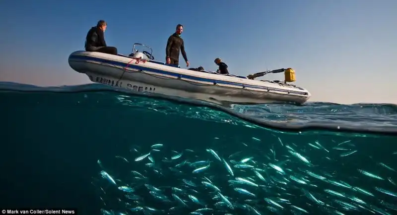 CORSA DELLE SARDINE 