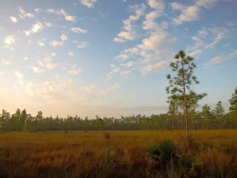 EVERGLADES NATIONAL PARK FLORIDA 