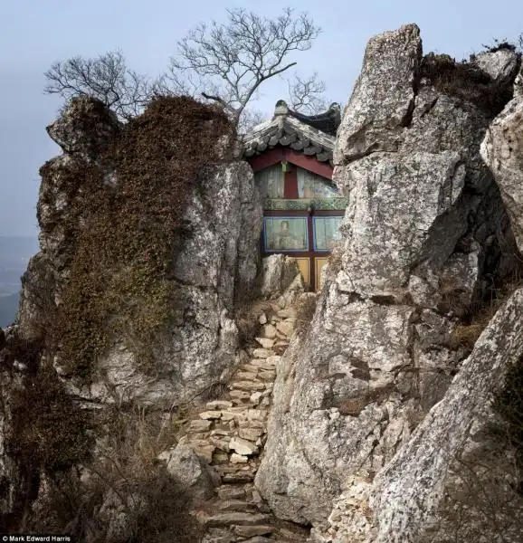 FOTO DI MARK HARRIS IN COREA DEL SUD 