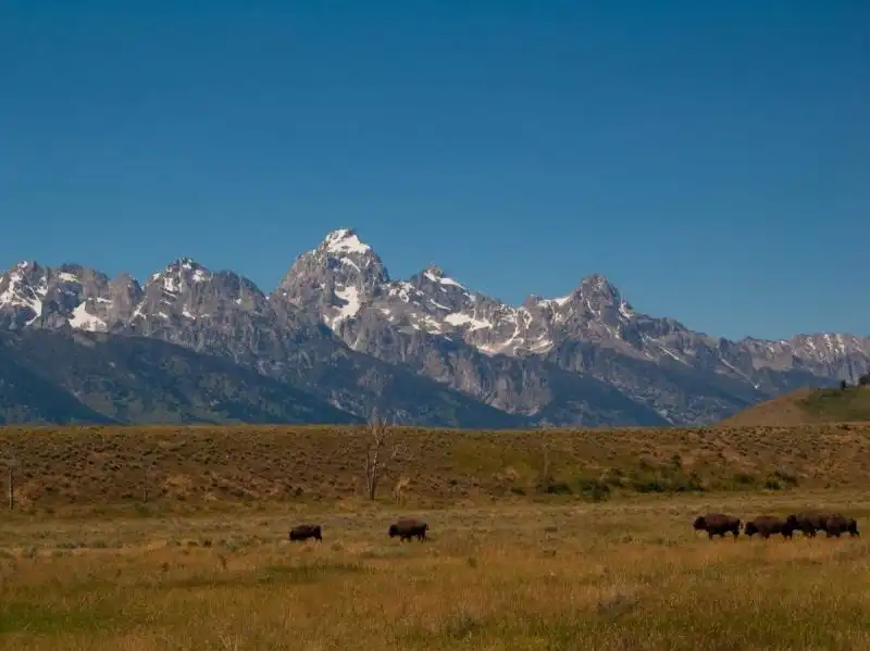 GRAND TETON NATIONAL PARK WYOMING 