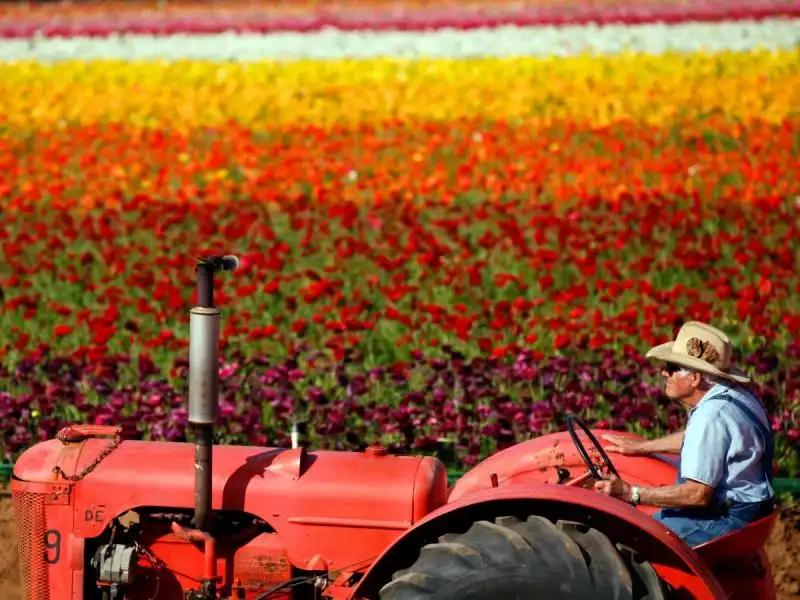 SPECIALE LUGLIO PRINCIPI E VALORI DEGLI USA COLTIVARE LA TERRA 