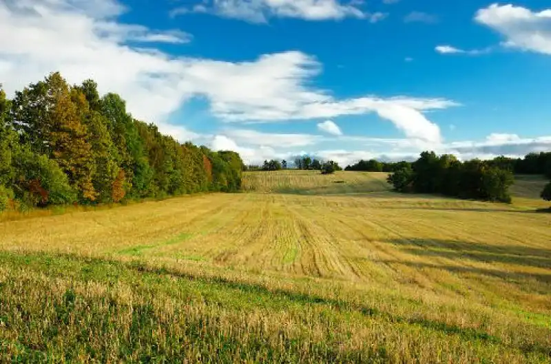 campagna