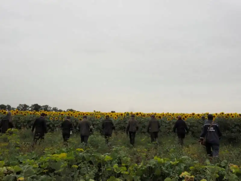 Il Malaysia-Airlines finito in un campo di girasoli