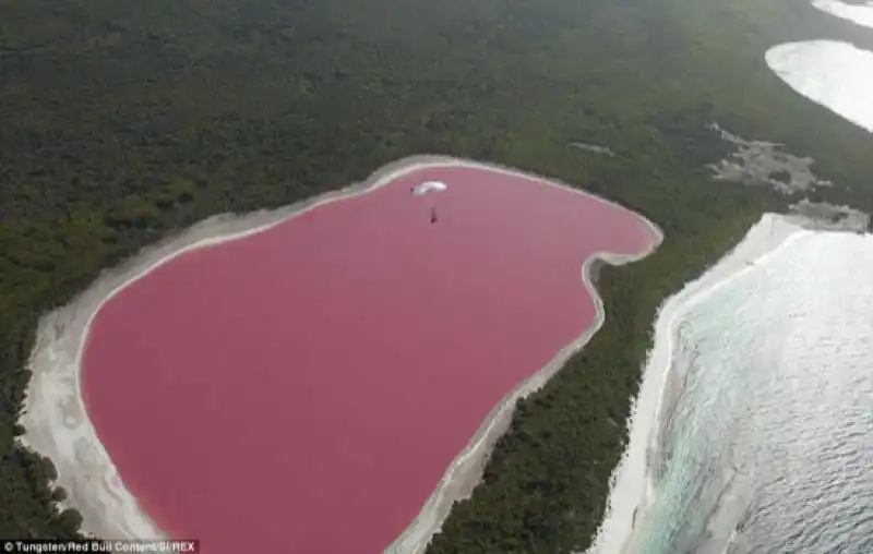 pink lake hillier of middle island in australia