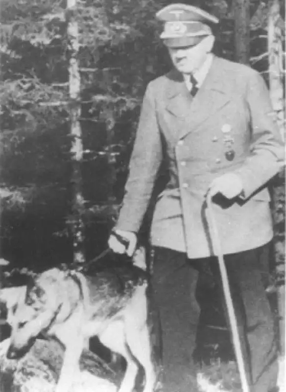 adolf hitler parkinson