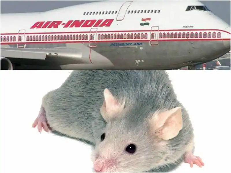 AIR INDIA TOPO