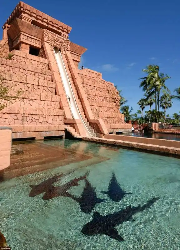 atlantis paradise island alle bahamas