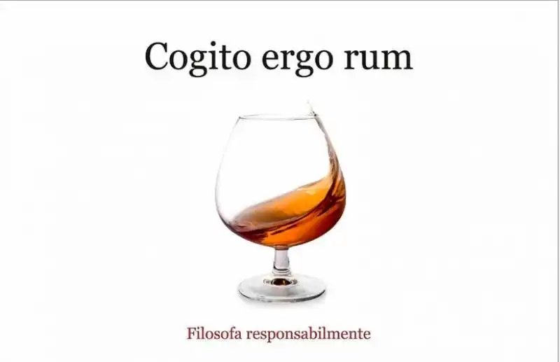 COGITO ERGO RUM