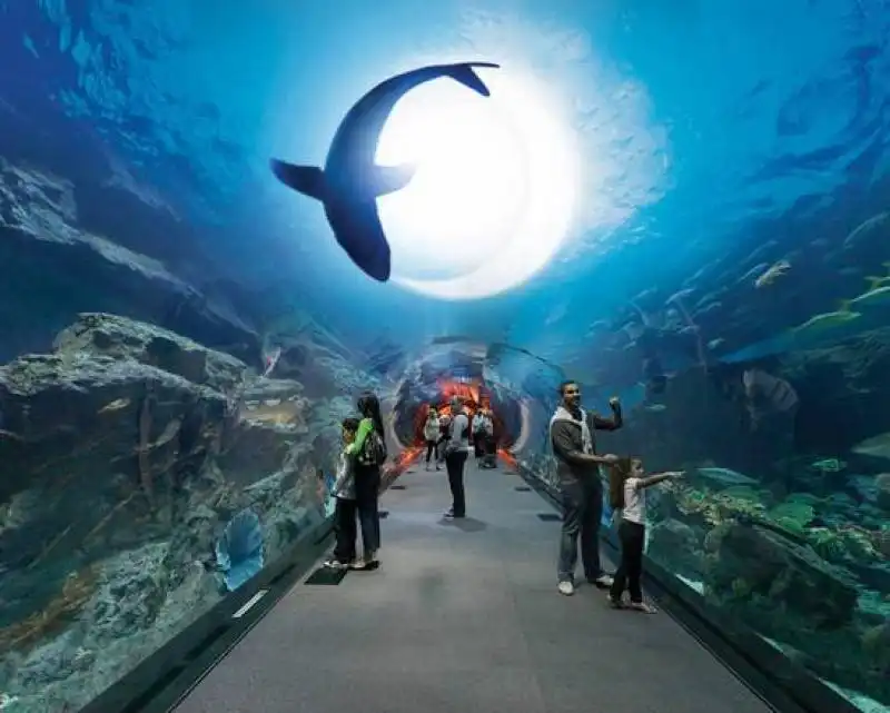 dubai mall aquarium