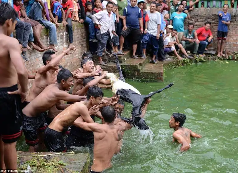 festival deopokhari 3