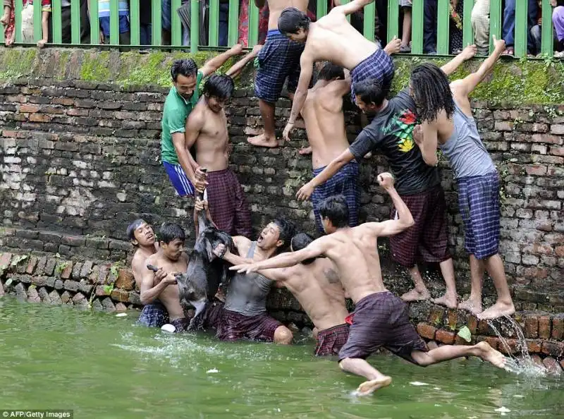 festival deopokhari 5