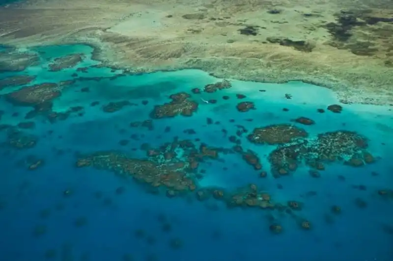 grande barriera corallina, australia