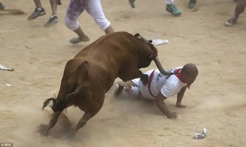 pamplona   festival di san firmino    12