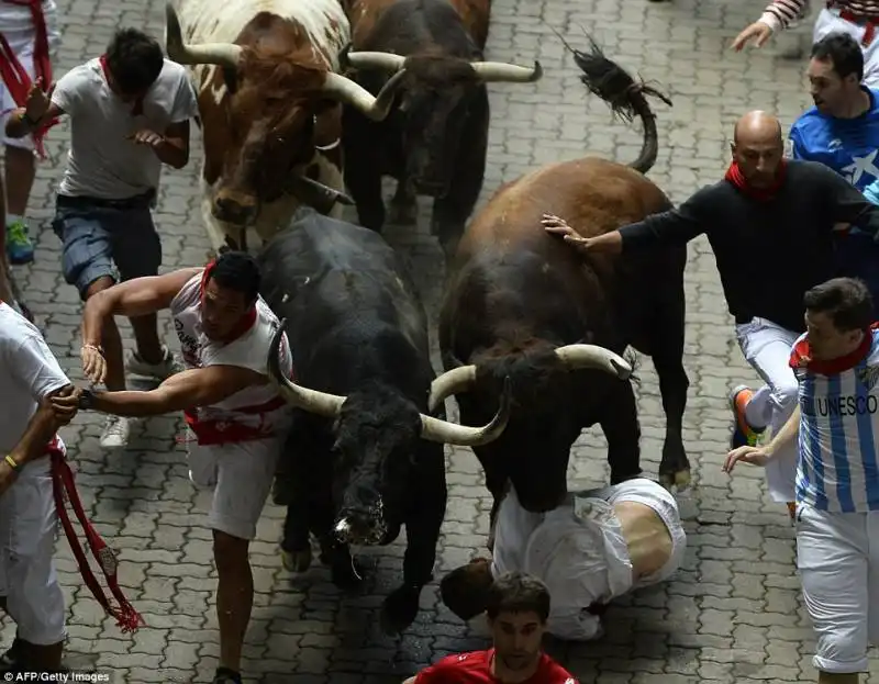 pamplona   festival di san firmino    13