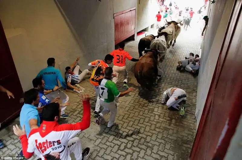 pamplona   festival di san firmino    14