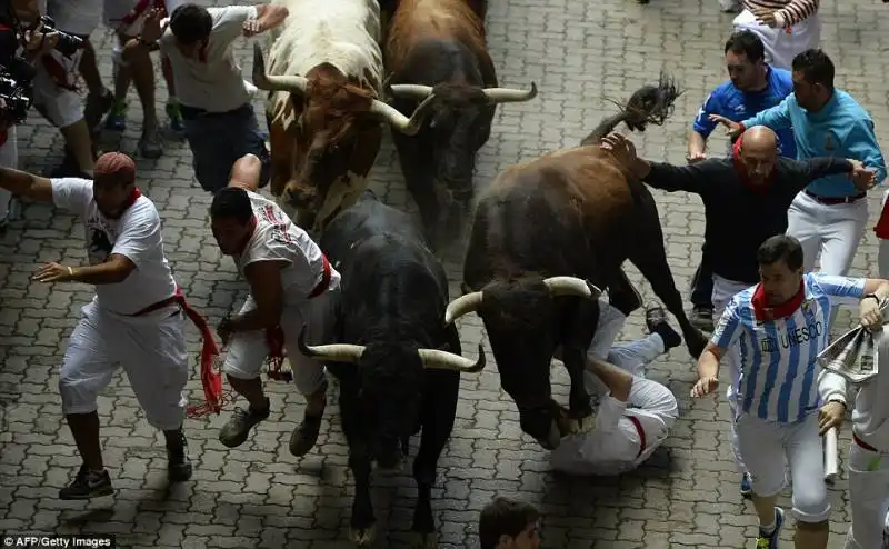 pamplona   festival di san firmino    17