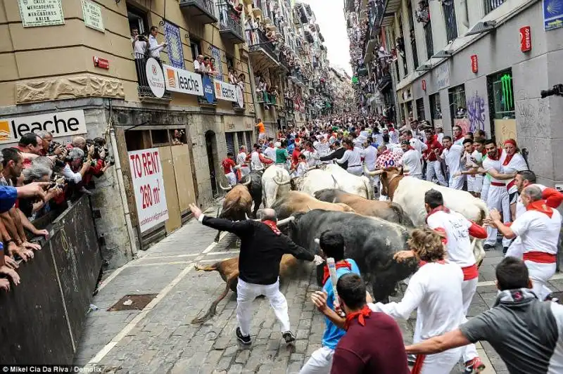 pamplona   festival di san firmino    18