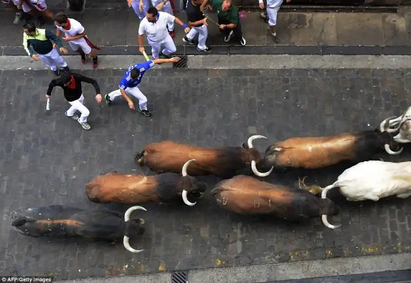 pamplona   festival di san firmino    5