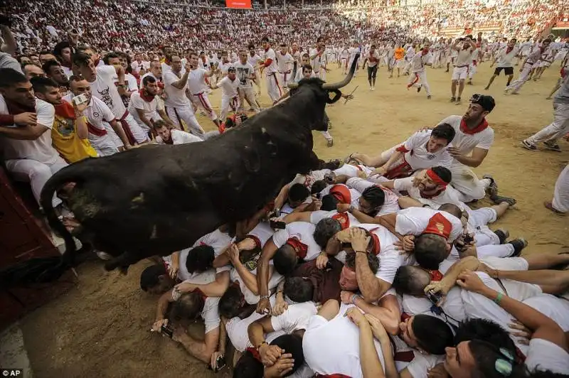 pamplona   festival di san firmino    7