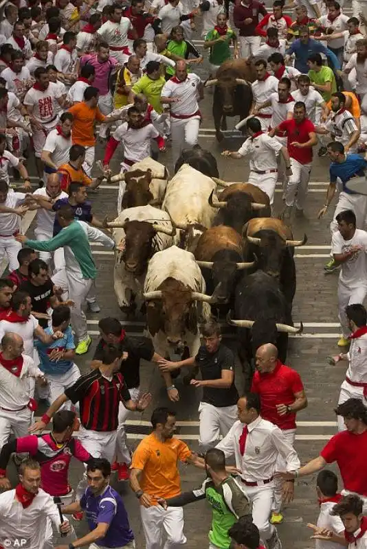 pamplona   festival di san firmino    8