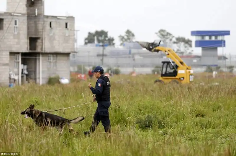 polizia messicana ricerche