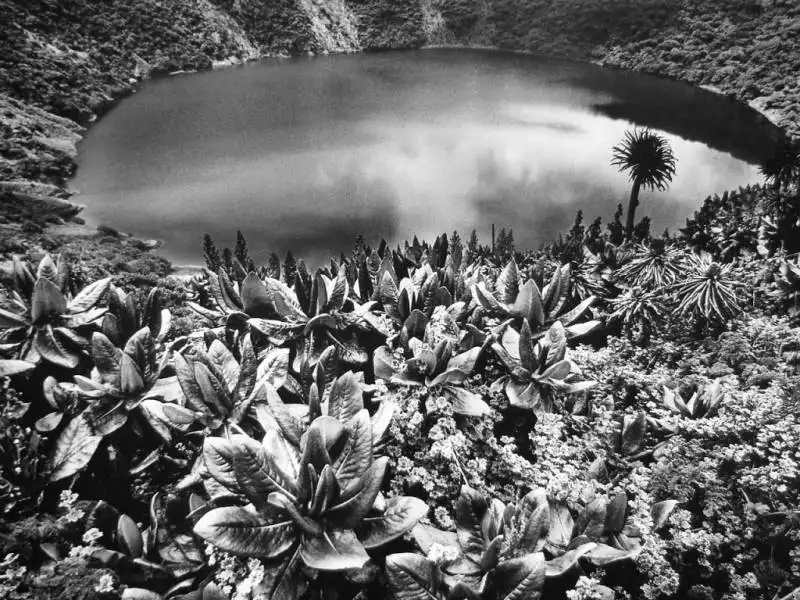 sebastiao salgado 13